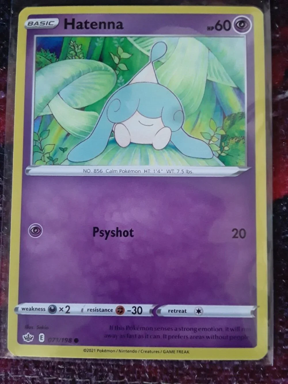 Pokemon 12 chilling